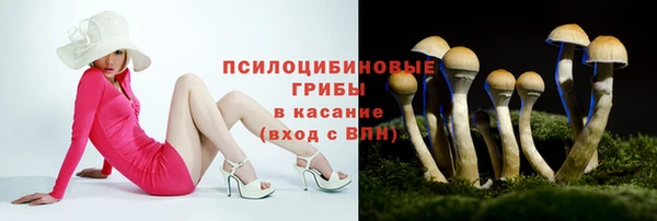 мдма Михайловск