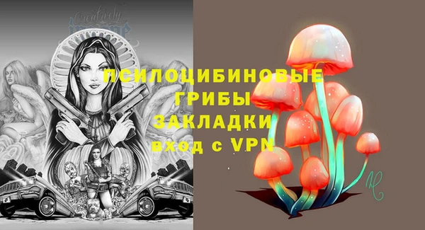 ешки Надым