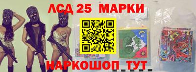 молекула духа Будённовск