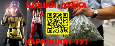 крисы Бийск