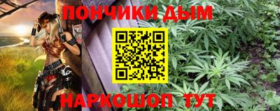 молекула духа Будённовск